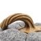 Set Of 3, 8.3x8.3x5.5 Gray Pumpkin, Pumpkin Ornament Decor For Holiday Harvest Festival Fall Festival Thanksgiving
